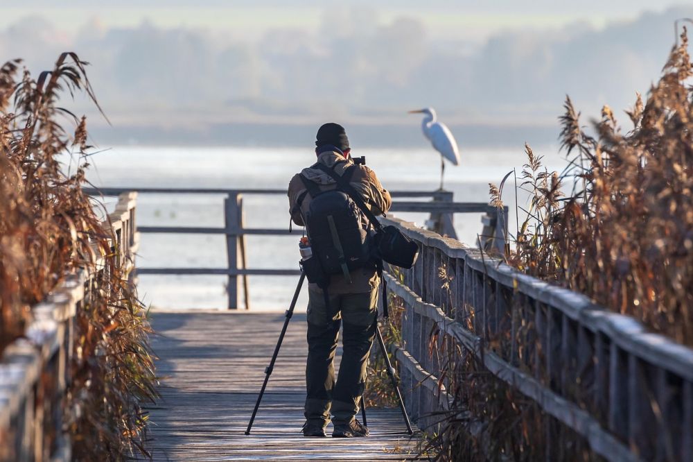 Fotograf Ålesund  profesjonelle bilder med ekte følelser