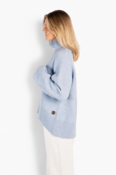 Hest  et fascinerende dyr gjennom historie, kultur og hverdag